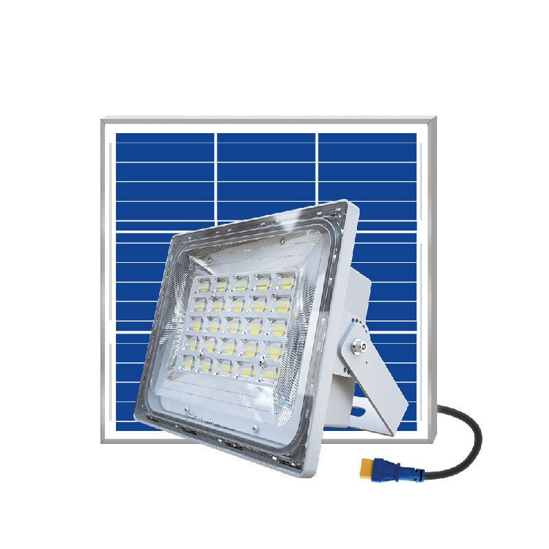 amazon lampes de jardin solaires ampoule solaire